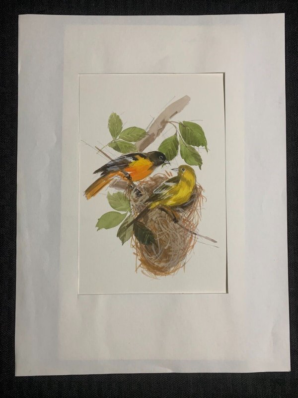 HAPPY MOTHERS DAY Birds on Branch in Nest 6x11 Greeting Card Art #nn