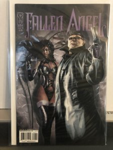 Fallen Angel #8 (2006) VF ONE DOLLAR BOX!