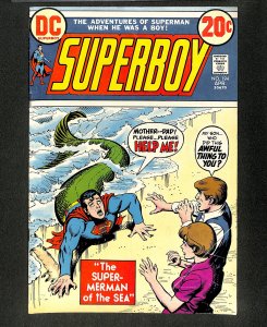 Superboy #194