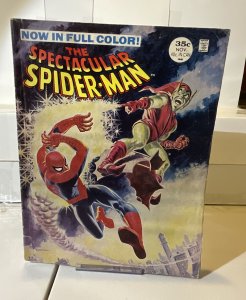 Spectacular Spider-Man Magazine #2 (1968) G/VG