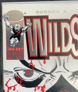 Wildstar: Sky Zero #1 Direct Edition (1993) 1st Issue of Series!  NM/MT