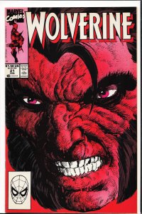 Wolverine #21 (1990) Wolverine