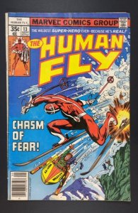 The Human Fly #13 (1978)