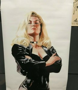 2000 BLACK CANARY Alex Ross DC Direct 22x34 Comic Poster SEALED Rolled