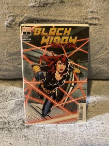 Black Widow: Widow's Sting (2020)
