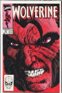Wolverine #21 (1990) Wolverine