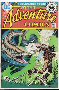 Adventure Comics #437 (1975) The Spectre