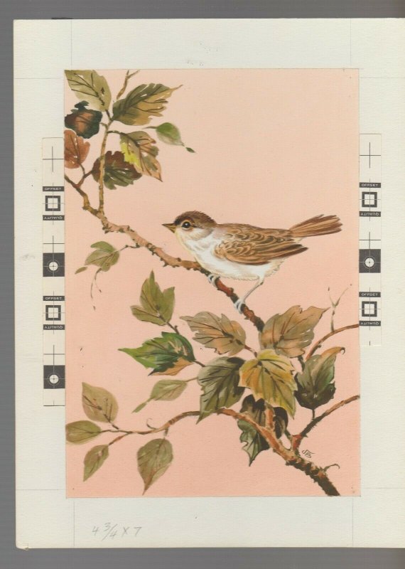 A GET WELL PRAYER Brown Bird on Branch w/ Leaves 7x9 Greeting Card Art #C9612