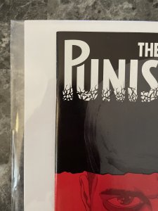 The Punisher #1 (2016)