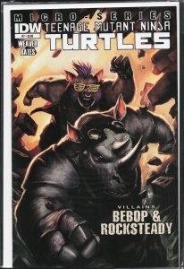 Teenage Mutant Ninja Turtles Villains Micro-Series #7 (2013)