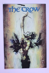 Crow #6 (1999) NM