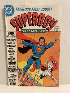 Superboy Spectacular #1 (1980) Unlimited Combined Shipping On All Store Items!!