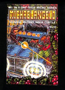 Michaelangelo, Teenage Mutant Ninja Turtle #1