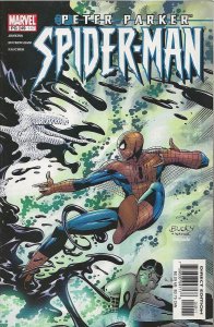 Peter Parker: Spider-Man #49 (2002) - NM
