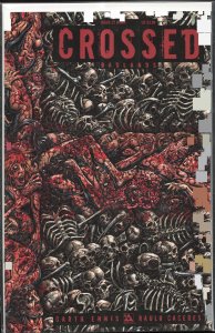 Crossed Badlands #27 Wraparound Variant Cover by Raulo Caceres (2013)