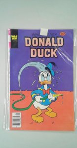 Donald Duck #207 (1979)