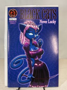 Sin Factory Comics Black Cats Never Lucky (2006) VF Rare