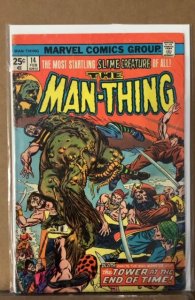Man-Thing #14 (1975)