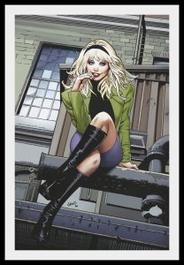 Spider-Gwen: Shadow Clones #4 Land Virgin Cover (2023)      / MC#44