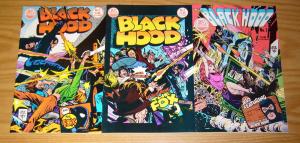 Black Hood #1-3 VF/NM complete series - riverdale - gray morrow alex toth 2 set