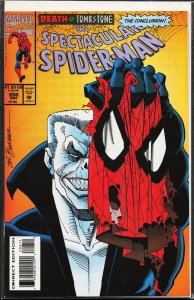 The Spectacular Spider-Man #206 (1993) Spider-Man