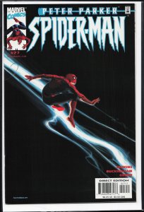 Peter Parker: Spider-Man #27 (2001) Spider-Man