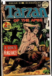 Edgar Rice Burroughs' Tarzan #208 (1972)