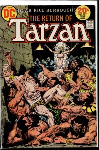 Edgar Rice Burroughs' Tarzan #222 (1973)