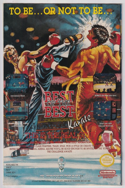 Teenage Mutant Ninja Turtles Present: April O'Neil #2 (1993)