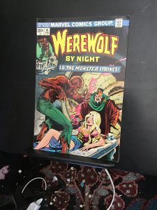 Werewolf by Night #14 (1974) Taboo! Affordable-Grade Ploog art! Wow!