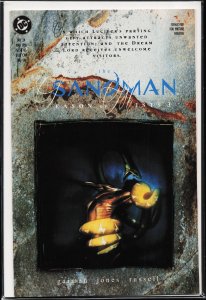 The Sandman #24 (1991) Sandman