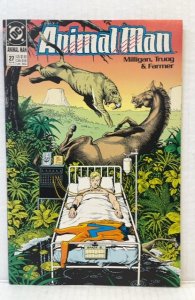 Animal Man #27 (1990)
