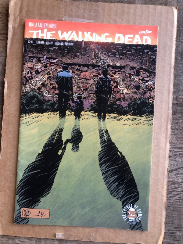 The Walking Dead #164 (2017)