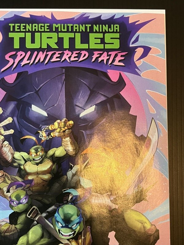 TMNT Splintered Fate Overview