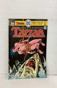 Edgar Rice Burroughs' Tarzan #243 (1975)