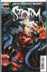 Storm #2 (2025)