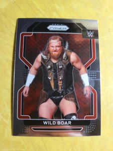 2022 Prizm WWE #139 Wild Boar