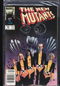 The New Mutants #24 (1985) New Mutants