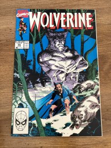 Wolverine # 25 NM- Marvel Comic Book X-Men Sabretooth X-Force Deadpool 11 J295