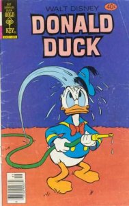Donald Duck (1940 series)  #207, Fine (Stock photo)