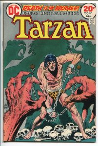 TARZAN #224 1973-DC-EDGAR RICE BURROUGHS-JOE KUBERT JUNGLE ART-SKULL-vf