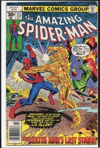The Amazing Spider-Man #173 (1977) Spider-Man