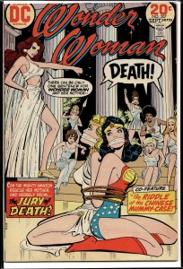 Wonder Woman #207 (1973) Wonder Woman