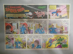 Spiderman Sunday #10 by Stan Lee & John Romita from 3/6/1977 Size 11 x 15 inches