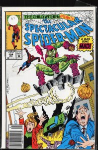 The Spectacular Spider-Man #184 (1992) Spider-Man
