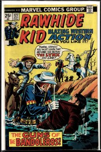 The Rawhide Kid #127 (1975) Rawhide Kid
