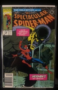 The Spectacular Spider-Man #178 (1991)