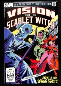 Vision and the Scarlet Witch #1 (1982)