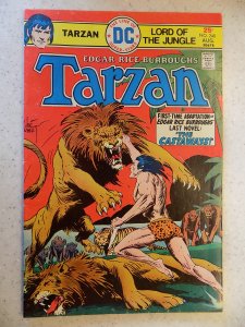 TARZAN # 240 DC JUNGLE ACTION ADVENTURE BURROUGHS KUBERT