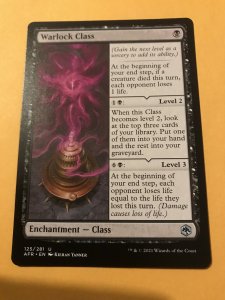 WARLOCK CLASS : Magic the Gathering MtG / Adventures in Forgotten Realms